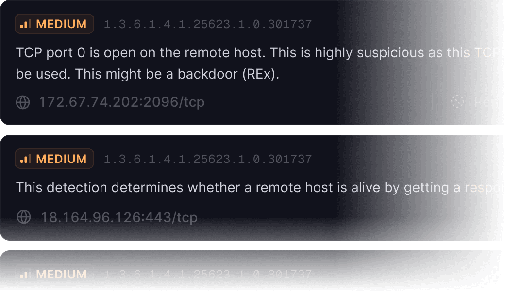 Screenshot of scan results